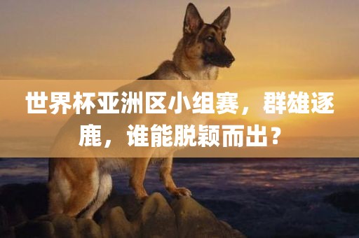 世界杯亚洲区小组赛，群雄逐鹿，谁能脱颖而出？