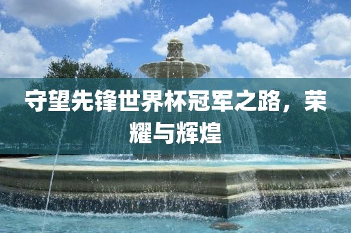 守望先锋世界杯冠军之路，荣耀与辉煌吉安市靖泰电力工程有限公司