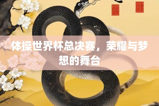 体操世界杯总决赛，荣耀与梦想的舞台吉安市靖泰电力工程有限公司