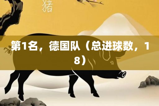 第1名，德国队（总进球数，18）吉安市靖泰电力工程有限公司