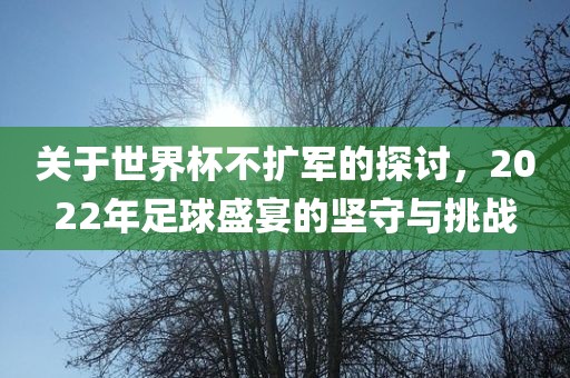 关于世界杯不扩军的探讨，2022年足球盛宴的坚守与挑战吉安市靖泰电力工程有限公司