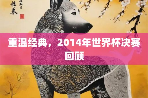 重温经典，2014年世界杯决赛吉安市靖泰电力工程有限公司回顾