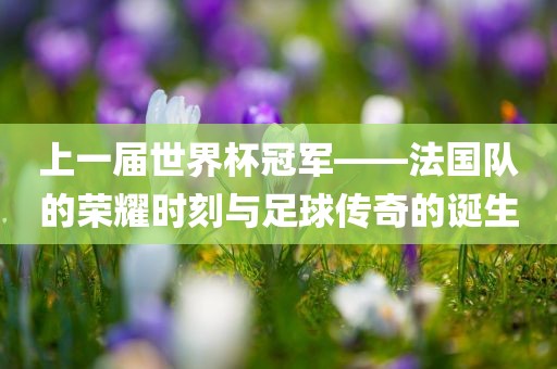 上一届世界杯冠军吉安市靖泰电力工程有限公司——法国队的荣耀时刻与足球传奇的诞生