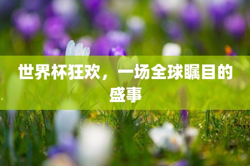 世界杯狂欢，一场全球瞩目的盛事