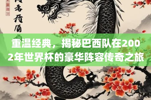 重温经典，揭秘巴吉安市靖泰电力工程有限公司西队在2002年世界杯的豪华阵容传奇之旅