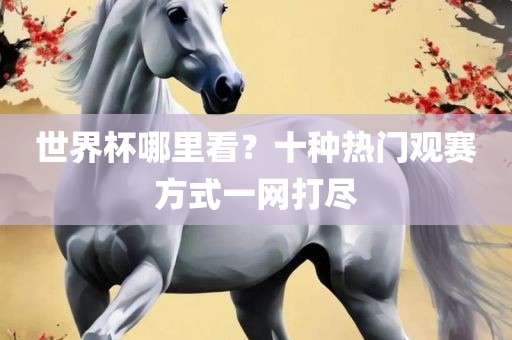 世界杯哪里看？十种热门观赛方式一网打尽吉安市靖泰电力工程有限公司