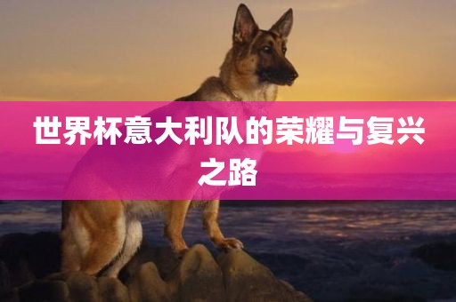 世界杯意大利队的荣耀与复兴之路吉安市靖泰电力工程有限公司