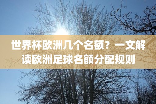 世界杯欧洲几个名额吉安市靖泰电力工程有限公司？一文解读欧洲足球名额分配规则