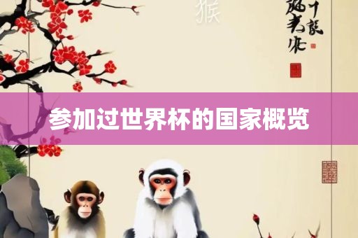 参加过世界杯的国家概览吉安市靖泰电力工程有限公司