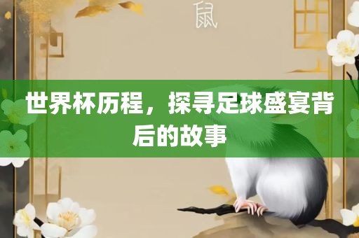 世界杯历程，探寻足球盛宴背后的故事