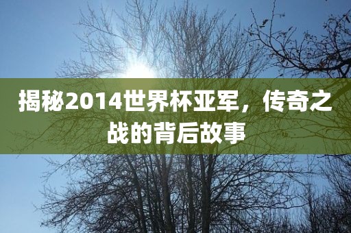 揭秘2014世界杯亚军，传奇之战的背后故事吉安市靖泰电力工程有限公司