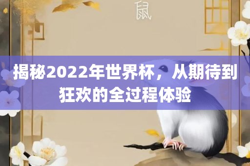 揭秘2022年世界杯，从期待到狂欢的全过程体验吉安市靖泰电力工程有限公司