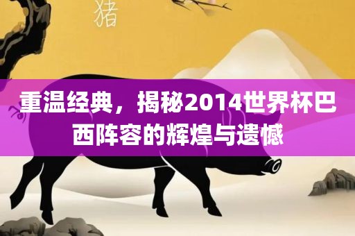 重温经典，揭秘2014世界杯巴西阵容的辉煌与遗憾