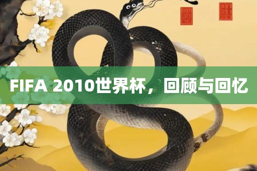 FIFA 2010世界杯，回顾与回忆