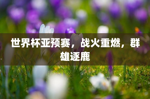 世界杯亚预赛，战火重燃，群雄逐鹿吉安市靖泰电力工程有限公司