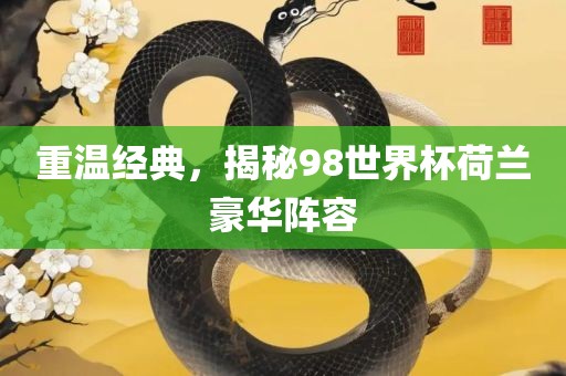 重温经典，揭秘98世界杯荷兰豪华阵容