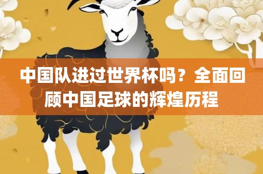 中国队进过世界杯吗？全面回顾中国足球的辉煌历程