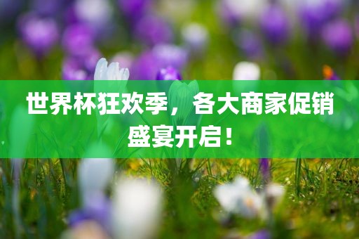 世界杯狂欢季，各大商家促销盛宴开启！