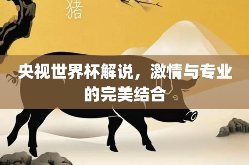 央视世界杯解说，激情与专业的完美结合吉安市靖泰电力工程有限公司