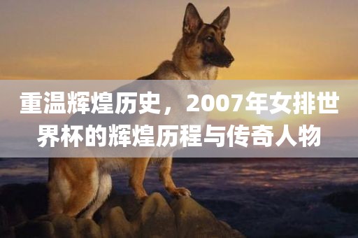 重温辉煌历史，2007年女排世界杯的辉煌历程与传奇人物