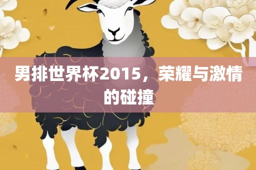 男排世界杯2015，荣耀与激情的碰撞