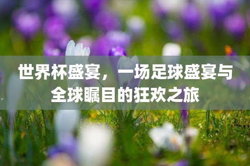 世界杯盛宴，一场足球盛宴与全球瞩目的狂欢之旅