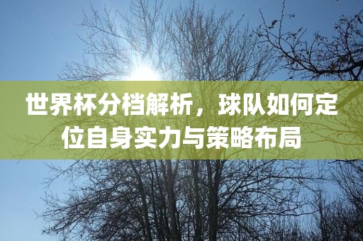 世界杯分档解析，球队如何定位自身实力与策略布局吉安市靖泰电力工程有限公司