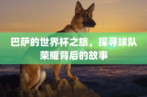 巴萨的世界杯之旅，探寻球队荣耀背吉安市靖泰电力工程有限公司后的故事