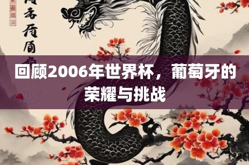 回顾2006年世界杯，葡萄牙的荣耀与挑战吉安市靖泰电力工程有限公司