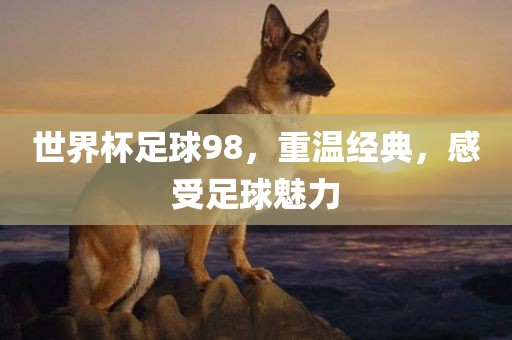 世界杯足球98，重温经典，感受足球魅力
