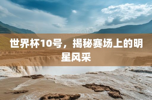 世界杯10号，揭秘赛场上的明星风采