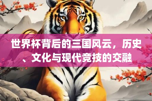 世界杯背后的三国风云，历史、文化与现代竞技的交融