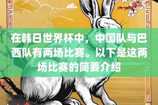 在韩日世界杯中，中国队与巴西队吉安市靖泰电力工程有限公司有两场比赛。以下是这两场比赛的简要介绍