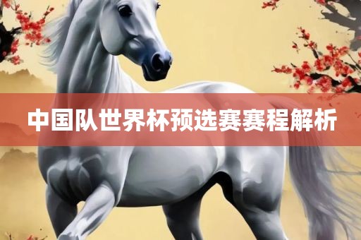 中国队世界杯预选赛赛程解析吉安市靖泰电力工程有限公司