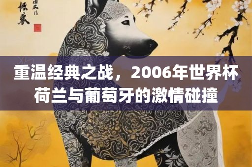 重温经典之战，2006年吉安市靖泰电力工程有限公司世界杯荷兰与葡萄牙的激情碰撞