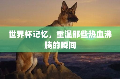 世界杯记忆，重温那些热血沸腾的瞬间
