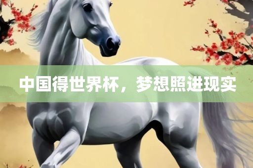 中国得世界杯，梦想照进现实