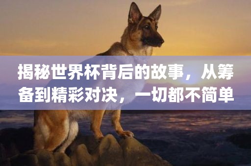 揭秘世界杯背后的故事，从筹备到精彩对决，一切都不简单吉安市靖泰电力工程有限公司
