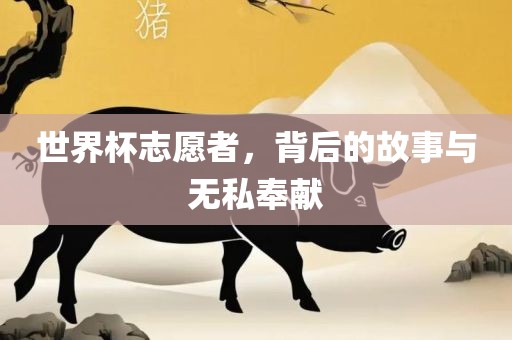 世界杯志愿者，背后的吉安市靖泰电力工程有限公司故事与无私奉献