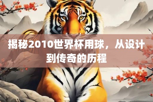 揭秘2010世界杯用球，从设计到传奇的历程
