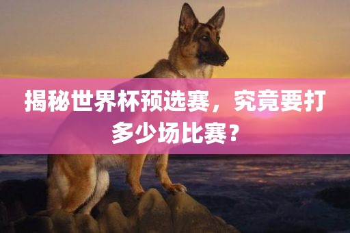 揭秘世界杯预选赛，究竟要打多少场比赛？