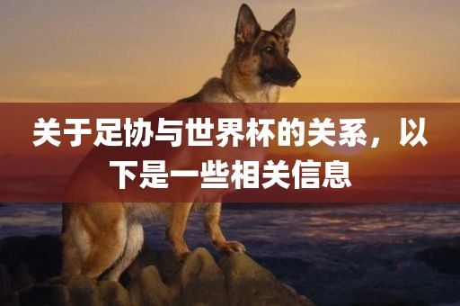 关于足协与世界杯的关系，以下是一些相关信息吉安市靖泰电力工程有限公司