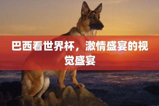 巴西看世界杯，激情盛宴的视觉盛宴吉安市靖泰电力工程有限公司