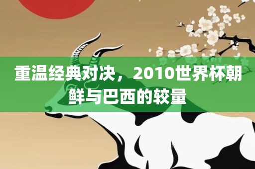 重温经典对决，2010世界杯朝鲜与巴西的较量