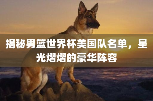 揭秘男篮世界杯美国队名单，星光熠熠的豪华阵容吉安市靖泰电力工程有限公司
