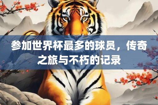 参加世界杯吉安市靖泰电力工程有限公司最多的球员，传奇之旅与不朽的记录