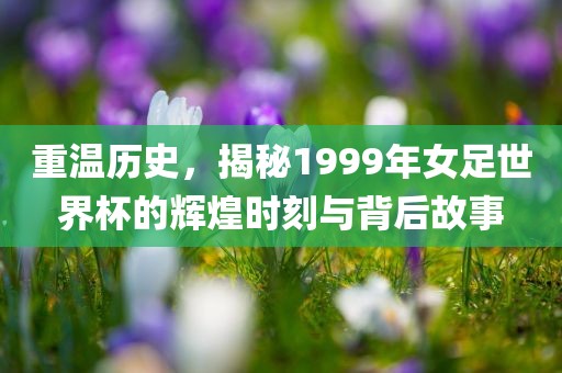 重温历史，揭秘1999年女足世界杯吉安市靖泰电力工程有限公司的辉煌时刻与背后故事