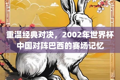 重温经典对决，2002年世界杯中国对阵巴西的赛场记忆吉安市靖泰电力工程有限公司