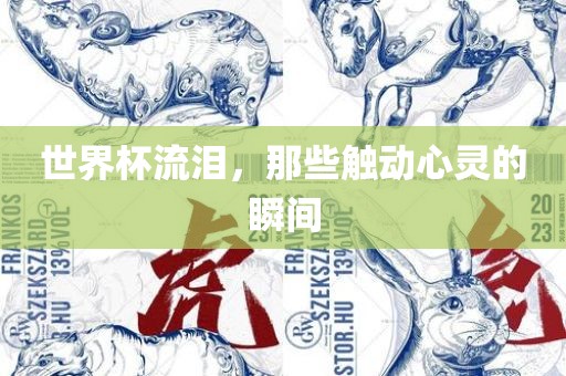 世界杯流吉安市靖泰电力工程有限公司泪，那些触动心灵的瞬间