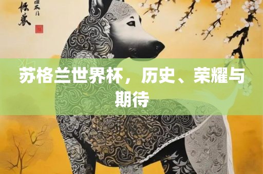 苏格兰世界杯，历史、荣耀与期待
